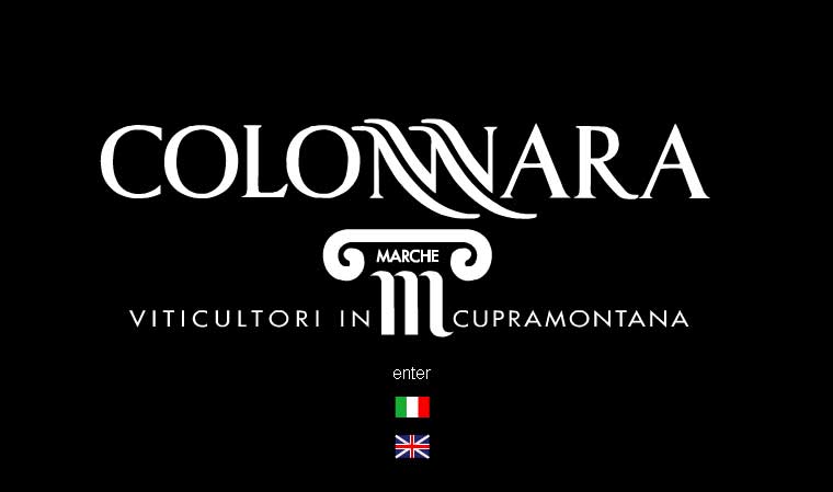 Impianto vinificazione - Colonnara